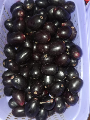 Black Jamun
