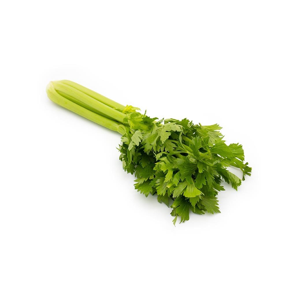 Celery (Iran) - Image 2