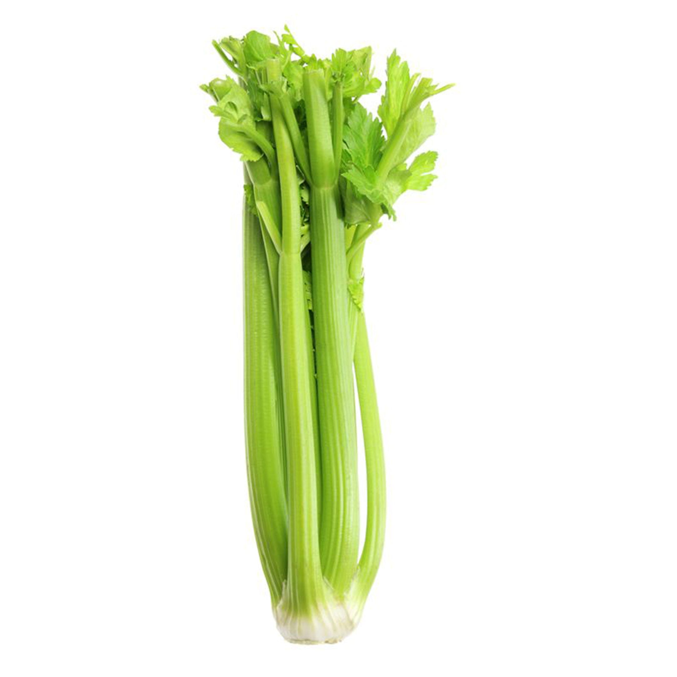 Celery (Iran)