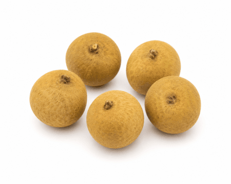 Longan Thai Land