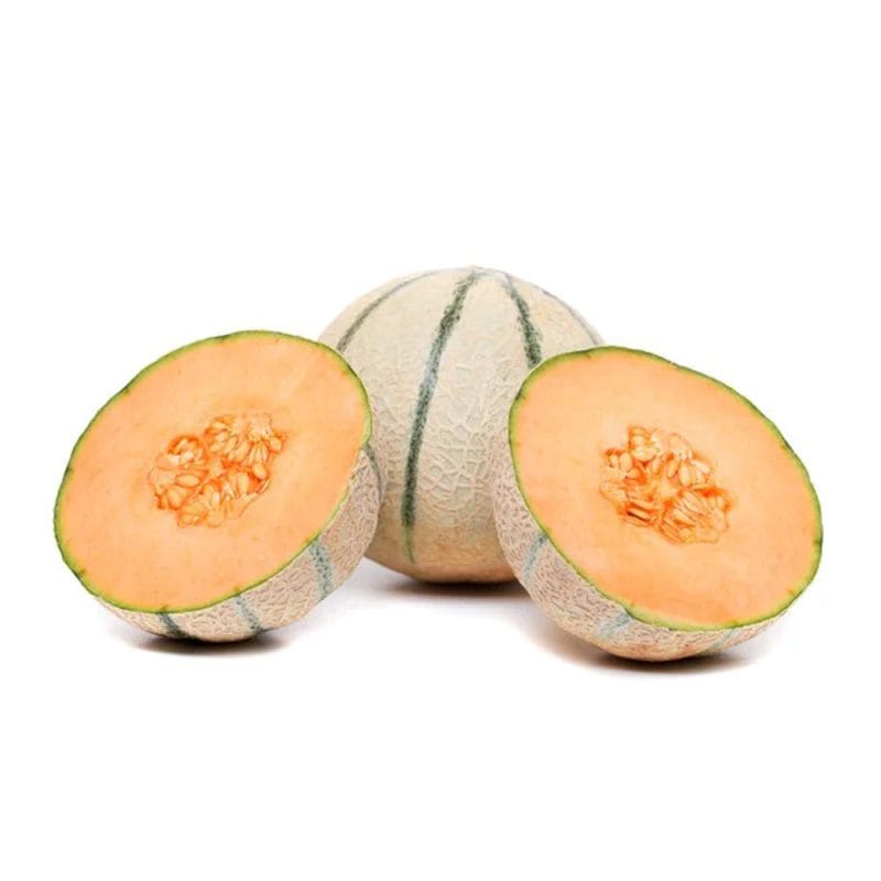 Sol Set Rockmelon Rock Melon – Hafiz Fruits