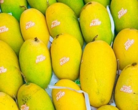 Dosheri Mango