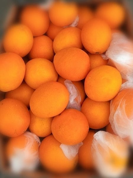 Navel Oranges