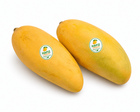Sindhri Pakistani Mango