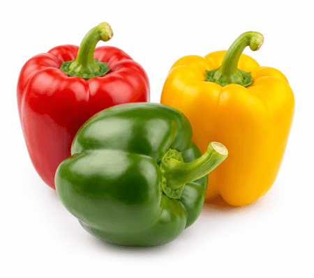 Capsicum (Bell Pepper)