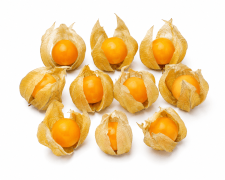 Golden Berry (Cape Gooseberry)
