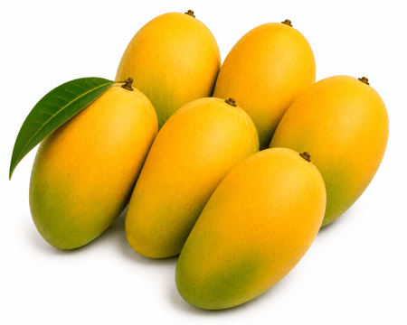 R2E2 Mango (Australia)