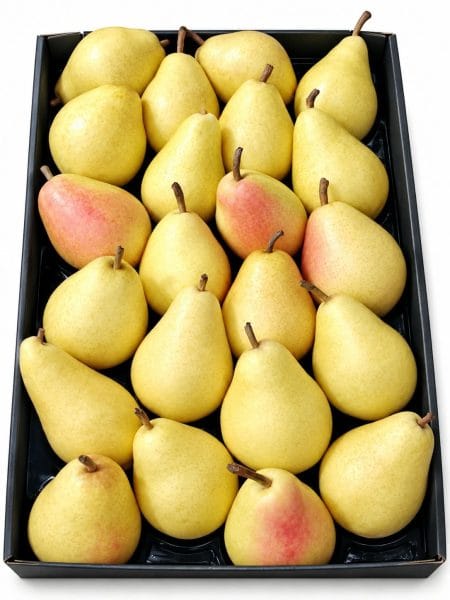 Pears Turkey 3kg