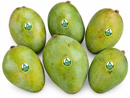 Keitt Mangoes egypt