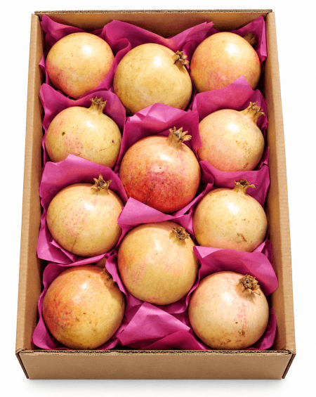 Pomegranate Yemen