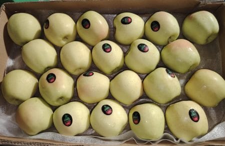 Golden Apple